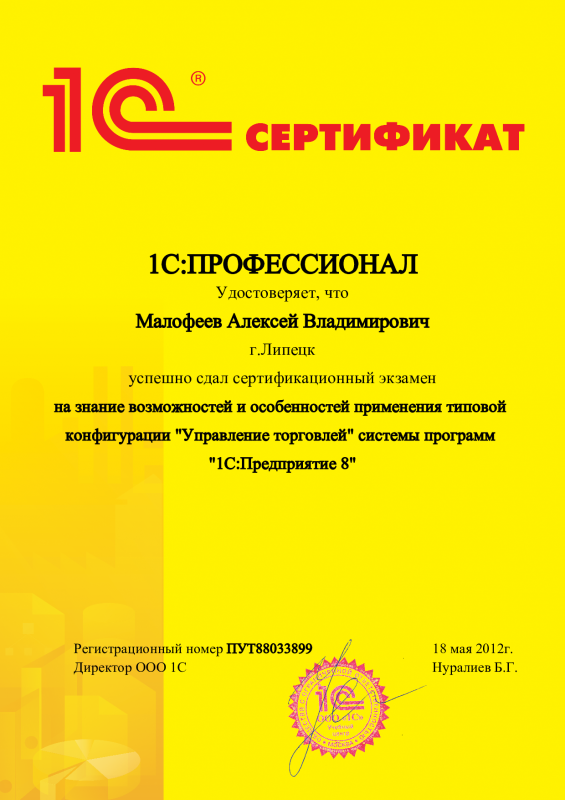 1С:Профессионал. Управление торговлей 8